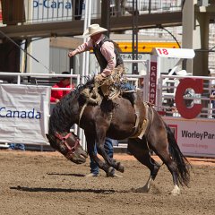 Calgary Stampede-1755